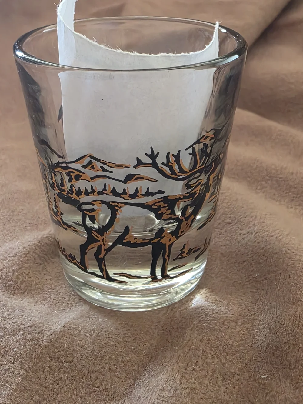 Oregon Scenic Glass Tumbler - Brown and Black